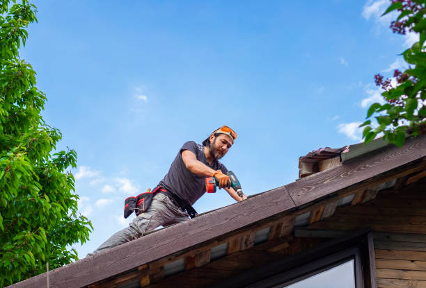 Fast & Reliable Emergency Roof Repairs in Deer Park, IL